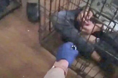 $!Departamento de Policía Metropolitana de Las Vegas