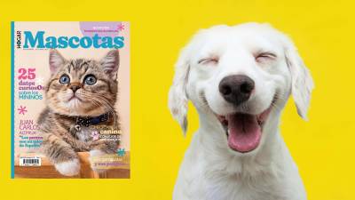 Revista MASCOTAS llega a todas las tiendas de Supermaxi y Mi Comisariato del Ecuador Revista MASCOTAS llega a todas las tiendas de Supermaxi y Mi Comisariato del Ecuador
