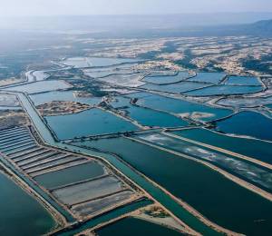 Planta de Santa Priscila, en una toma aérea.