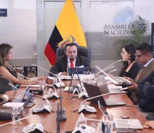 Comisión de Gobiernos Autónomos de la Asamblea Nacional sesionó durante el feriado del 9 de octubre.