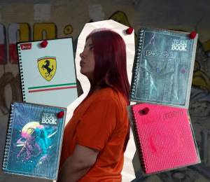 Una recopilación de fotos de los cuadernos incautados tanto en la celda de Verónica Briones como en el búnker donde capturaron a alias Fito.