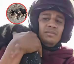 Sentencian con ocho meses de prisión a conocido youtuber por consumir un perro en Marruecos