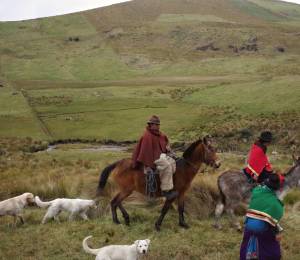 Agricultores de la Sierra del Ecuador