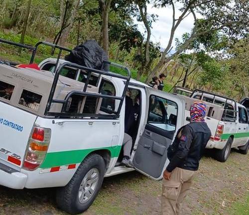 Quito: rescatan a cinco perros que permanecían en condiciones de vulnerabilidad
