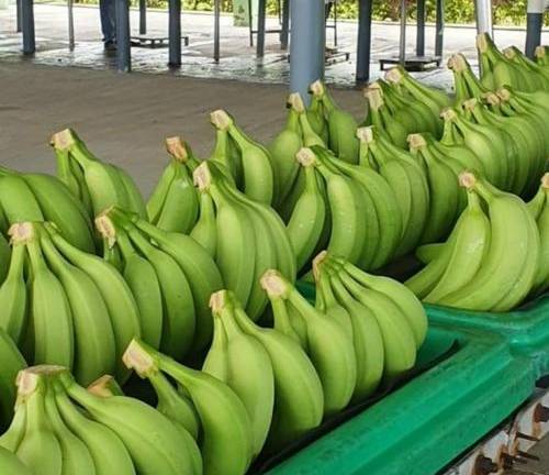 Ecuador se ubica entre los países más favorecidos por nuevo esquema arancelario de EE.UU.