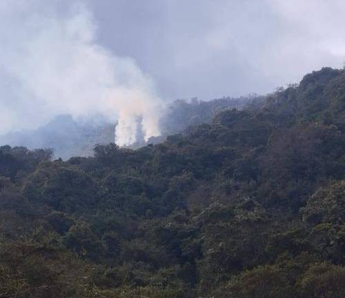 Un incendio consume 280 hectáreas de un parque nacional protegido en el norte de Ecuador