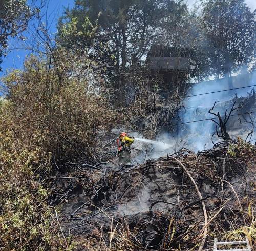 El sujeto el incendio de más de 1.200 metros de vegetación.