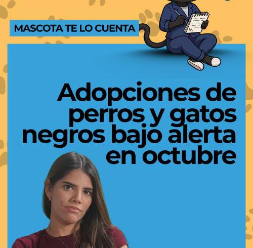 VIDEO | ¿Por qué alertan sobre perros y gatos negros y blancos?