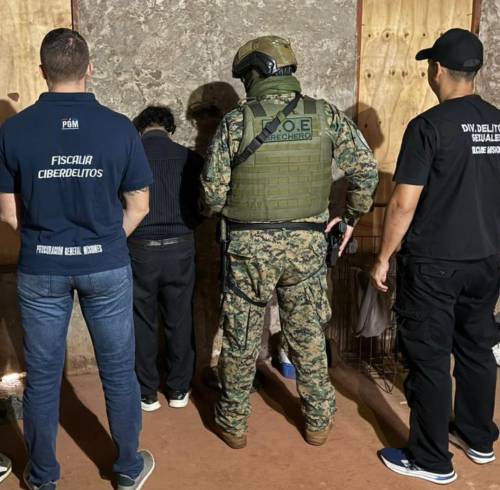 Se realizaron 95 arrestos en 17 países en una operación contra la distribución de material de abuso sexual infantil.