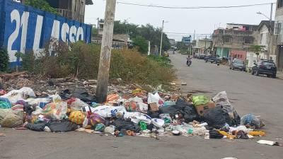 Alerta ambiental en Playas por fallas en la recolección de basura: ¿puede afectar a Galápagos? Alerta ambiental en Playas por fallas en la recolección de basura: ¿puede afectar a Galápagos?