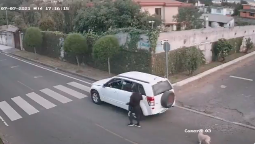 Hombre que abandonó a un perro en Quito será sancionado con 4.000 dólares de multa