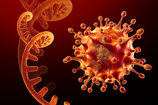 Una mutación de la COVID-19 ha provocado que el virus sea ocho veces más infeccioso