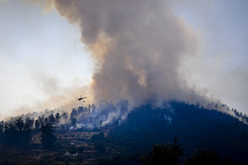 Incendios forestales siguen ardiendo en Francia y Portugal