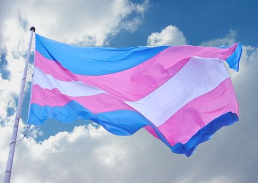 Transfemenina logra cambiar su sexo en la cédula de identidad