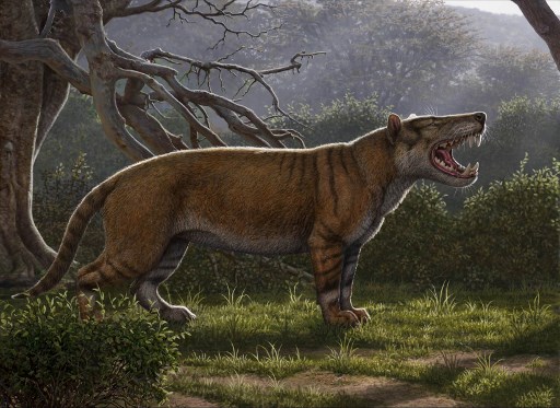 Hallan restos de enorme mamífero terrestre parecido a un león