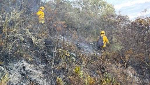 Un incendio consume 280 hectáreas de un parque nacional protegido en el norte de Ecuador