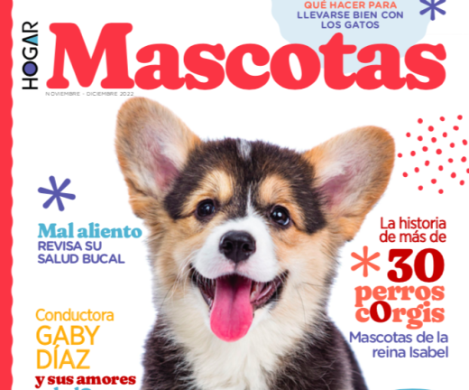 Revista MASCOTAS Nov/Dic