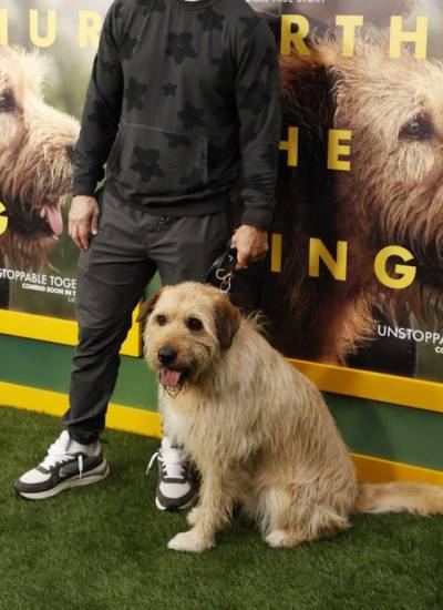 El actor estadounidense Mark Wahlberg con el perro Ukai asiste a la proyección especial de Arthur The King y al evento de adopción de mascotas en el AMC Century City Cinema de Los Ángeles el 19 de febrero de 2024.