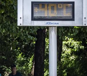Las fotos más impactantes de la ola de calor que afecta a Europa con temperaturas récord