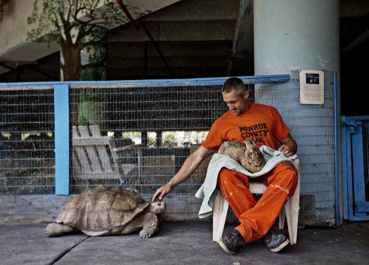 La cárcel que además es un zoo de animales abandonados