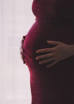 Un tribunal de Florida denegó la solicitud de una embarazada presa acusada de asesinato, que pidió ser liberada alegando que su feto estaba detenido ilegalmente sin cargos.