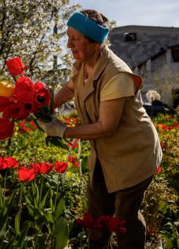 Nina cuida las flores de su jardín frente a su casa destruida por proyectiles de alto calibre, el 6 de mayo de 2022, en Baryshivka (Ucrania).