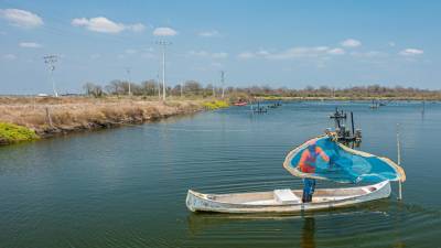Sector camaronero busca depender menos del diésel Sector camaronero busca depender menos del diésel