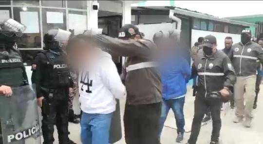 Capturan a 29 presuntos miembros de Los Lobos y a otros 6 de Los Tiguerones; un tigrillo era mascota de un detenido