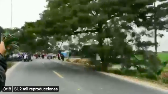 Ambiente anuncia acciones legales contra manifestantes que cortaron árbol en Guayas