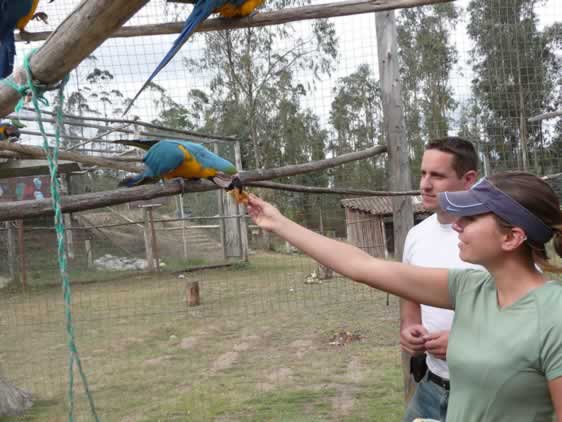 Centro de Rescate Animal Guayabillas cerrará sus puertas por falta de recursos económicos