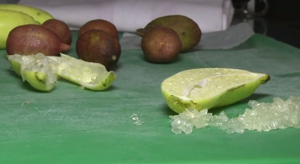 El ''caviar de lima'' de los aborígenes de Australia conquista el mundo