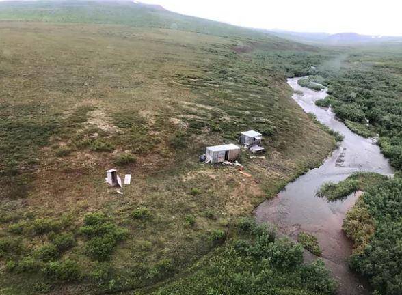 Un oso acosó a un hombre durante una semana en Alaska