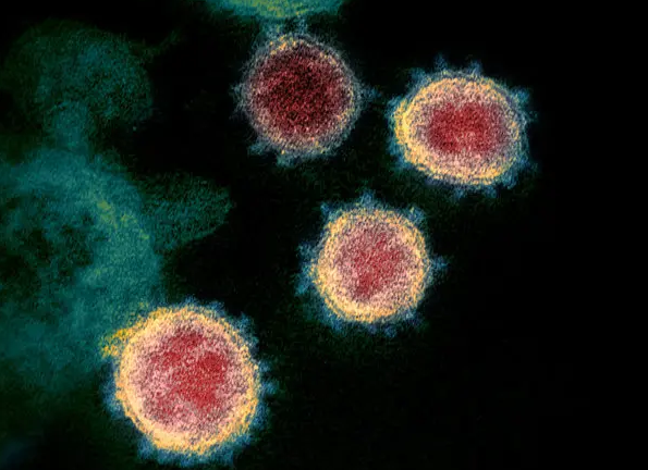 El nuevo y misterioso gen oculto en el coronavirus