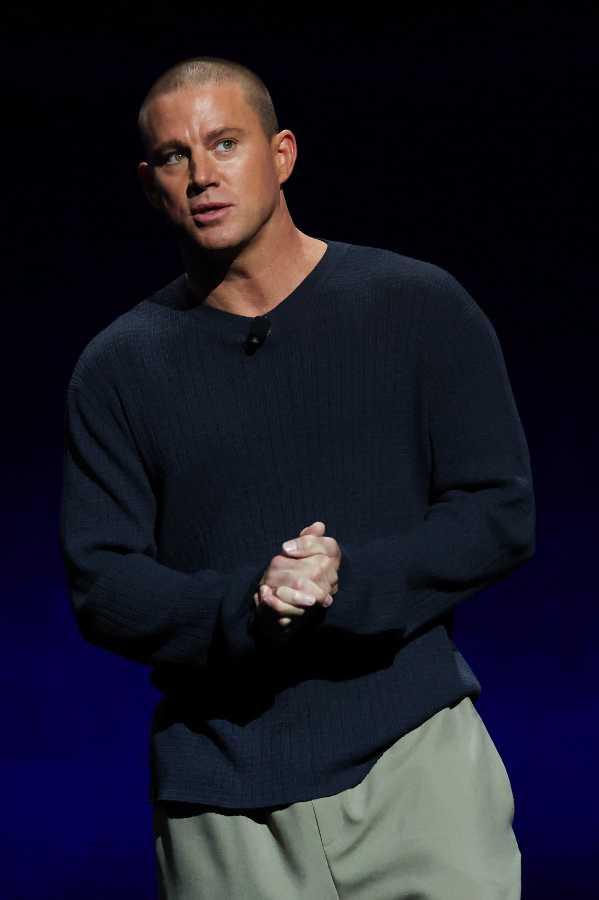 $!La batalla legal duró seis años y giró en torno a la custodia y la franquicia Magic Mike.