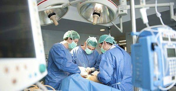 Histórico: trasplantan con éxito un riñón de cerdo a un cuerpo humano