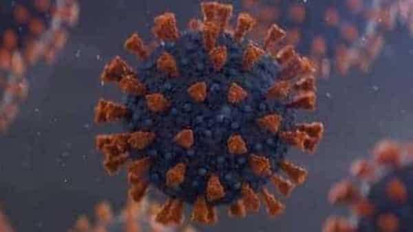 Khosta-2: descubren en Rusia nuevo y preocupante coronavirus