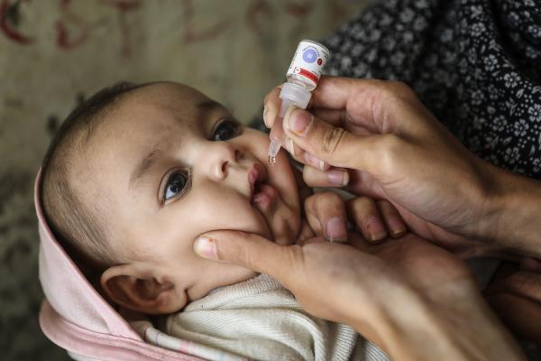 “El riesgo de reintroducción de poliomielitis es real”, dice la Sociedad Latinoamericana de Infectología Pediátrica