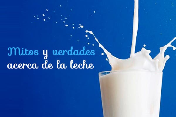 Mitos y verdades sobre la leche