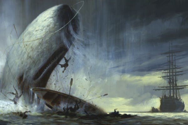 Aparece la ballena blanca que inspiró a la novela &#039;Moby Dick&#039;