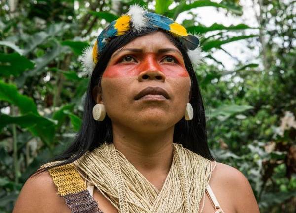 Panel Científico por la Amazonía respalda labor de Nemonte Nenquimo