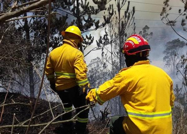 Rodas dice que incendios de Quito son provocados