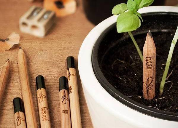 Sprout, el lápiz ecológico que se convierte en planta