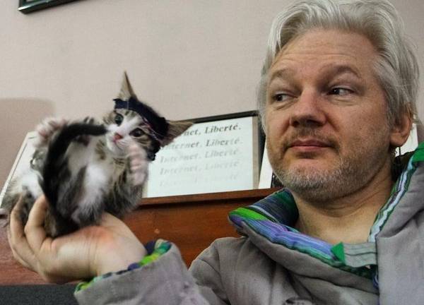 Conozca al compañero de Julian Assange en la Embajada de Ecuador