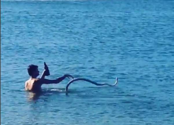 Un hombre sale a nadar con su mascota: una serpiente