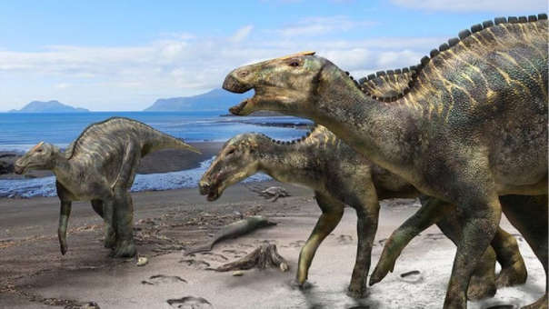 Descubren “El Dios dragón”, nueva especie de dinosaurio en Japón