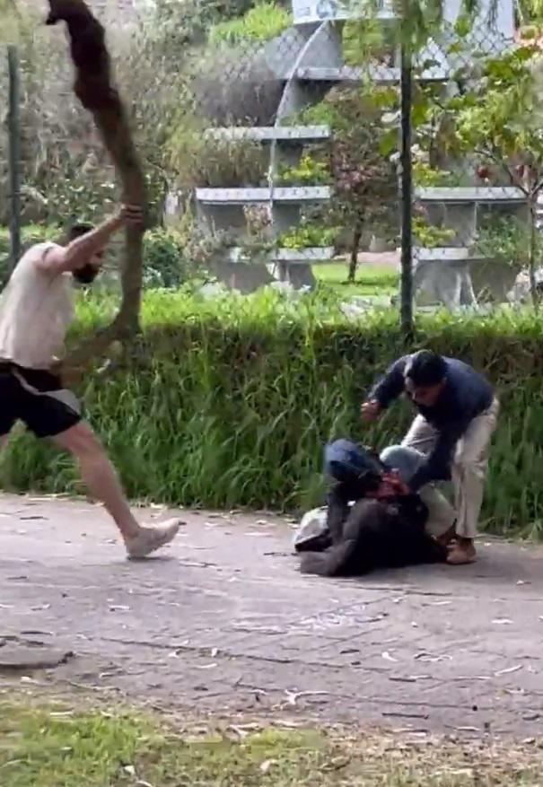 $!Apuñalan a una mujer frente a varios testigos en el parque La Carolina en Quito: un extranjero logró salvar a la víctima
