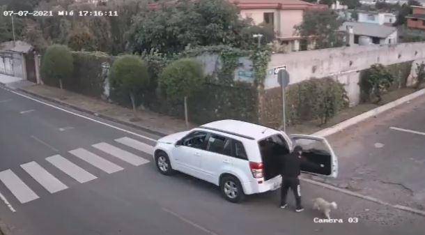 ¿Qué dijo el presunto implicado en el abandono de un perrito en Quito?