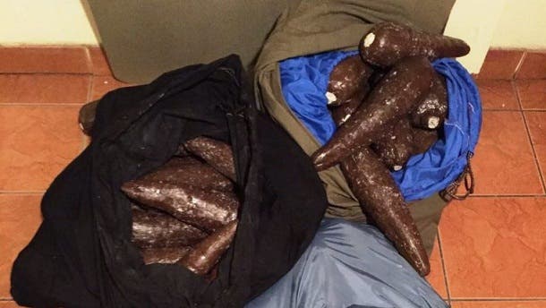 Policía Nacional incautó 400 kilos de cocaína en yuca