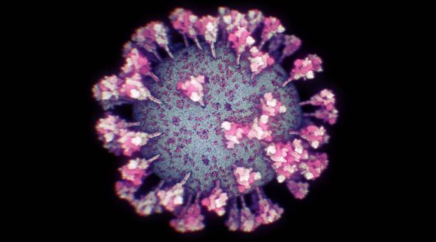 Así se ve el coronavirus: primera imagen real en 3 dimensiones