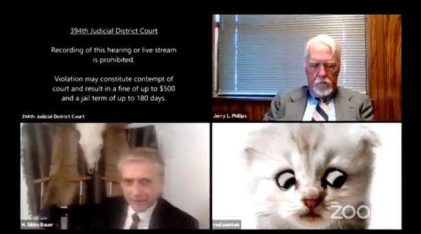 Fiscal se une accidentalmente a una audiencia en Zoom con un filtro de gato
